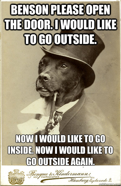 benson please open the door. i would like to go outside. Now i would like to go inside. now i would like to go outside again.  Old Money Dog