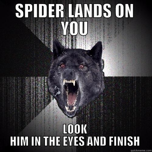 SPIDER LANDS ON YOU LOOK HIM IN THE EYES AND FINISH Insanity Wolf