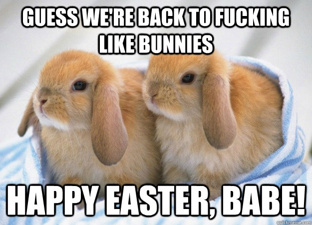 Guess Were Back To Fucking Like Bunnies Happy Easter Babe Misc 