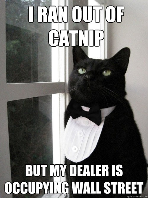 I ran out of catnip but my dealer is Occupying Wall Street  One Percent Cat