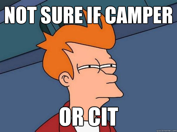 Not sure if camper or CIT - Not sure if camper or CIT  Futurama Fry