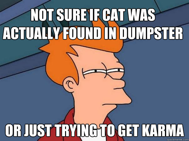 Not sure if cat was actually found in dumpster Or just trying to get KARMA  Futurama Fry