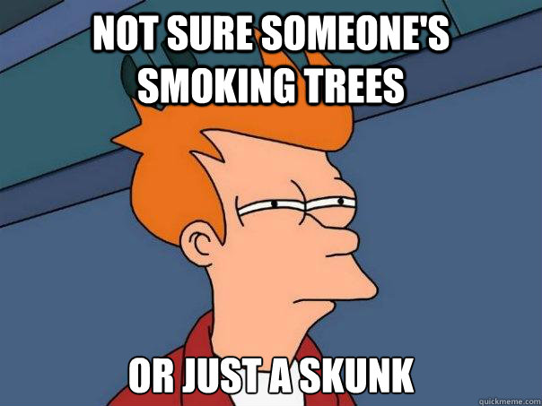 Not sure someone's smoking trees Or just a skunk  Futurama Fry