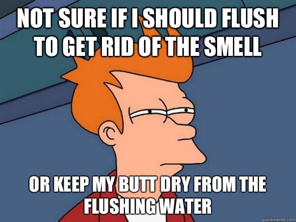 Not sure if I should flush to get rid of the smell Or keep my butt dry from the flushing water - Not sure if I should flush to get rid of the smell Or keep my butt dry from the flushing water  Futurama Fry