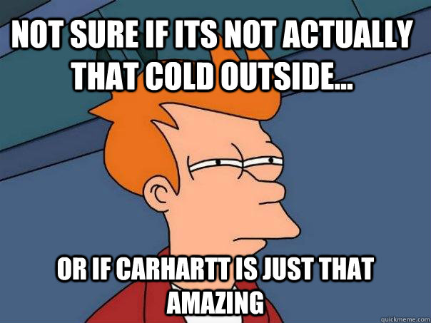 Not sure if its not actually that cold outside... Or if carhartt is just that Amazing  Futurama Fry