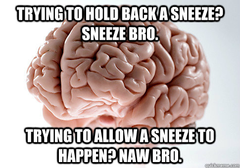 TRYING TO HOLD BACK A SNEEZE? SNEEZE BRO. TRYING TO ALLOW A SNEEZE TO HAPPEN? NAW BRO.  - TRYING TO HOLD BACK A SNEEZE? SNEEZE BRO. TRYING TO ALLOW A SNEEZE TO HAPPEN? NAW BRO.   Scumbag Brain