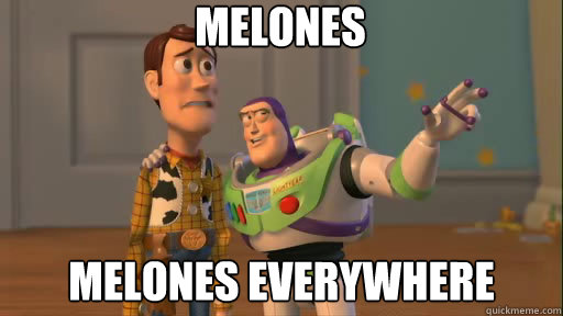 MELONES MELONES everywhere - MELONES MELONES everywhere  Everywhere