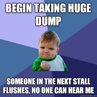 Begin taking huge dump Someone in the next stall flushes, no one can hear me  Success Kid