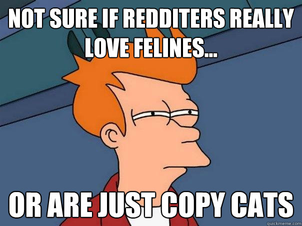 not sure if redditers really love felines... or are just copy cats  Futurama Fry