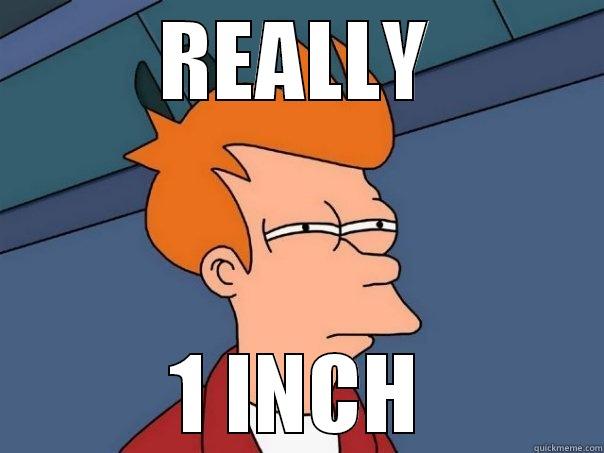 REALLY BITCH - REALLY 1 INCH Futurama Fry