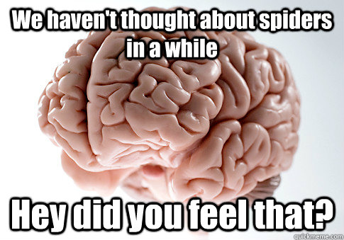 We haven't thought about spiders in a while Hey did you feel that?   Scumbag Brain