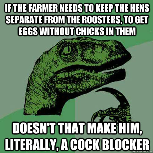 If the farmer needs to keep the hens separate from the roosters, to get eggs without chicks in them Doesn't that make him, literally, a cock blocker  Philosoraptor