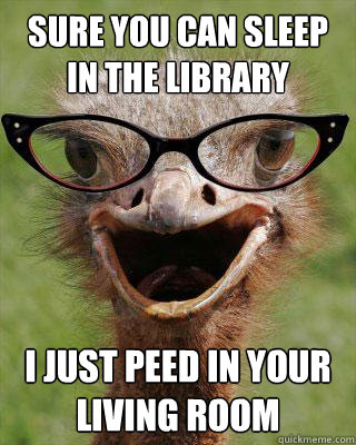 sure you can sleep in the library I just peed in your living room  Judgmental Bookseller Ostrich