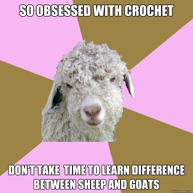 so obsessed with crochet don't take  time to learn difference between sheep and goats   Crochet goat