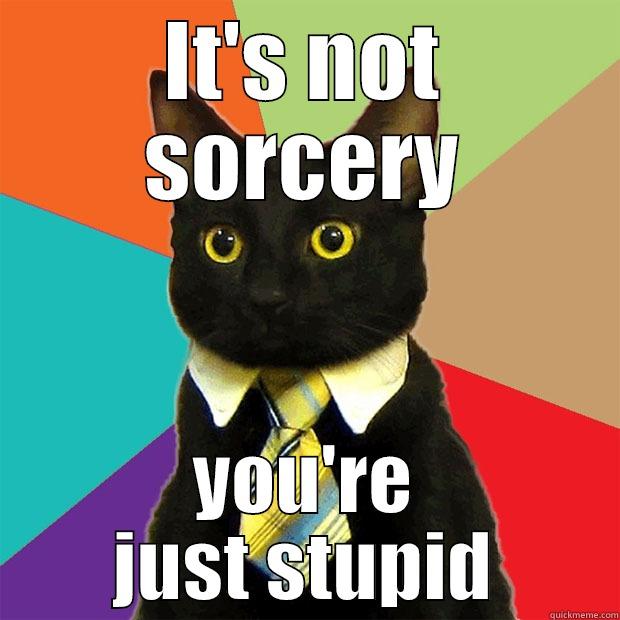 sorcery i say!!!!!! - IT'S NOT SORCERY YOU'RE JUST STUPID Business Cat