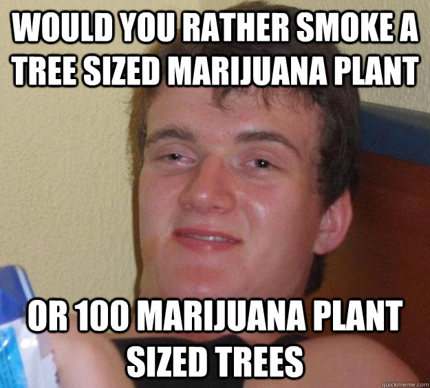 Would you rather smoke a tree sized marijuana plant or 100 marijuana plant sized trees - Would you rather smoke a tree sized marijuana plant or 100 marijuana plant sized trees  10 Guy