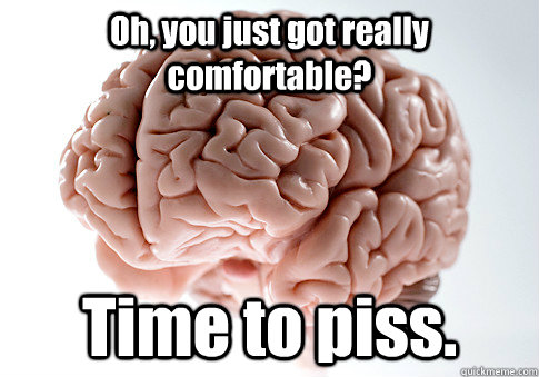 Oh, you just got really comfortable? Time to piss.  Scumbag Brain