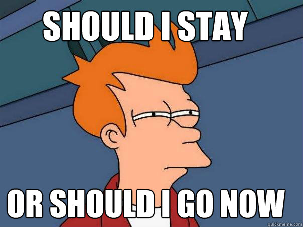 SHOULD I STAY ♫ ♪ OR SHOULD I GO NOW ♫ ♪ - SHOULD I STAY ♫ ♪ OR SHOULD I GO NOW ♫ ♪  Futurama Fry