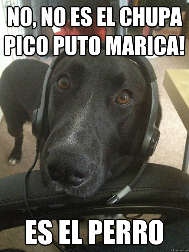 no, no es el chupa pico puto marica! es el perro  Gamer Dog