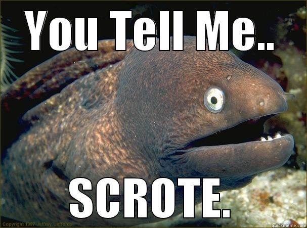 YOU TELL ME.. SCROTE. Bad Joke Eel