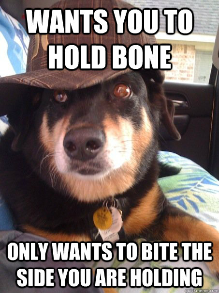 Wants you to hold bone Only wants to bite the side you are holding  Scumbag dog