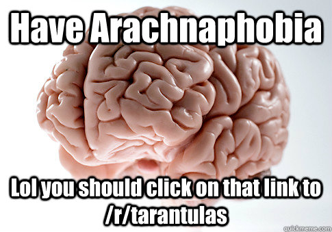 Have Arachnaphobia Lol you should click on that link to /r/tarantulas    Scumbag Brain