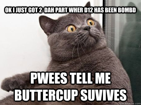 Ok I Just Got 2  dah Part wher D12 has been bombd  Pwees tell me Buttercup suvives  conspiracy cat