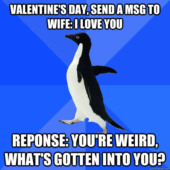 Valentine's day, send a msg to wife: I love you Reponse: You're weird, what's gotten into you?  Socially Awkward Penguin