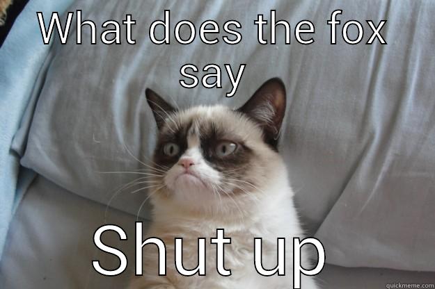 stupid song - WHAT DOES THE FOX SAY SHUT UP Grumpy Cat