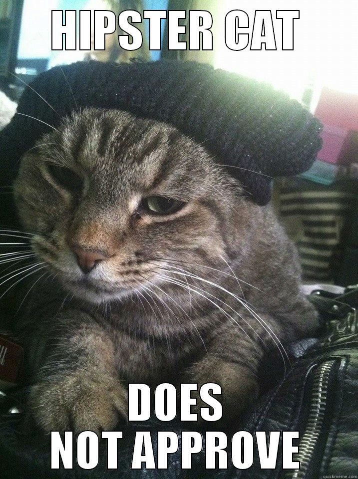 HIPSTER CAT DOES NOT APPROVE Misc