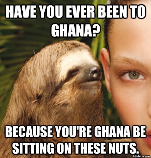 Have you ever been to Ghana? Because you're Ghana be sitting on these nuts.  rape sloth