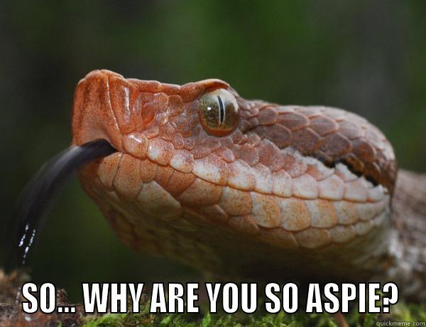  SO... WHY ARE YOU SO ASPIE? Misc