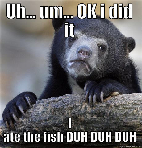 UH... UM... OK I DID IT I ATE THE FISH DUH DUH DUH Confession Bear