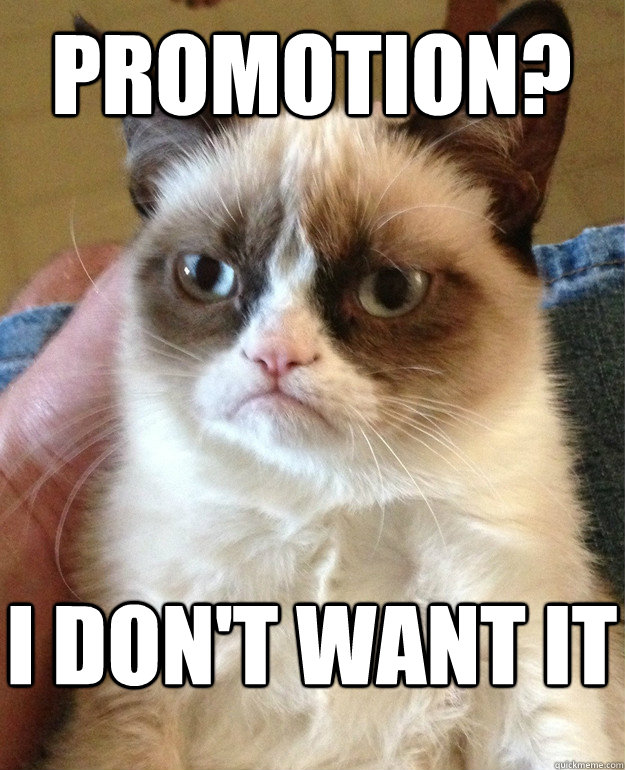 Promotion? I don't want it  Grumpy Cat