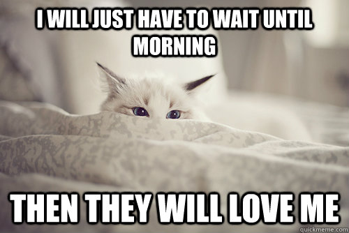 I will just have to wait until morning Then they will love me - I will just have to wait until morning Then they will love me  Misc