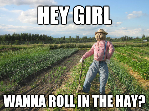 Hey girl Wanna roll in the hay?  Scarecrow