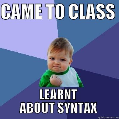 CAME TO CLASS  LEARNT ABOUT SYNTAX Success Kid