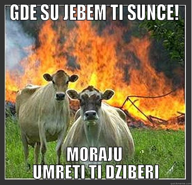 GDE SU - GDE SU JEBEM TI SUNCE! MORAJU  UMRETI TI DZIBERI Evil cows