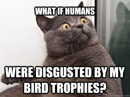 what if humans were disgusted by my bird trophies?  conspiracy cat