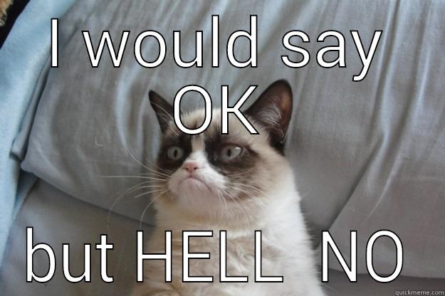 I WOULD SAY OK BUT HELL  NO Grumpy Cat