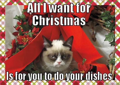 ALL I WANT FOR CHRISTMAS IS FOR YOU TO DO YOUR DISHES merry christmas