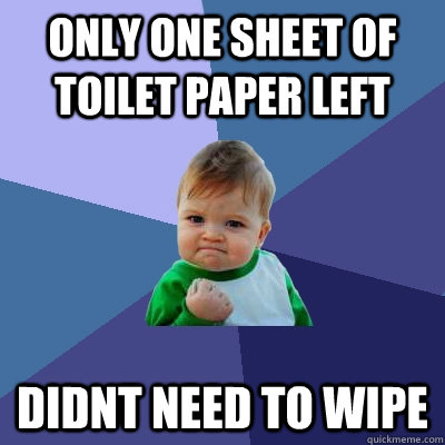 Only one sheet of toilet paper left didnt need to wipe  Success Kid