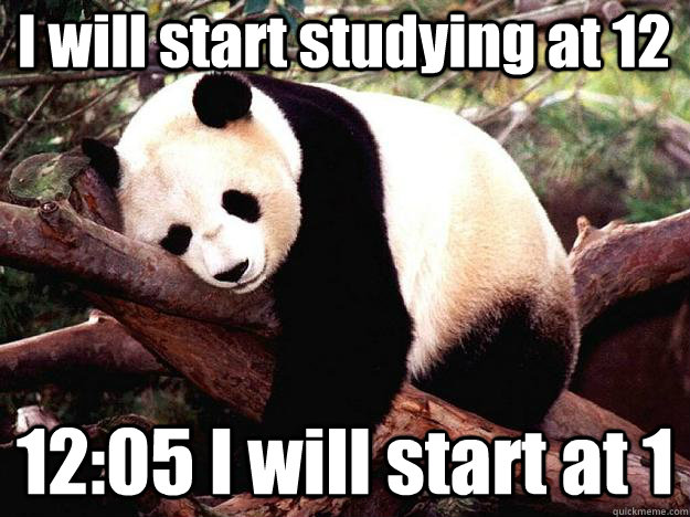 I will start studying at 12 12:05 I will start at 1  Procrastination Panda