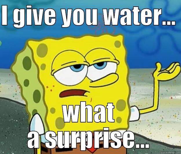 I GIVE YOU WATER...  WHAT A SURPRISE... Tough Spongebob