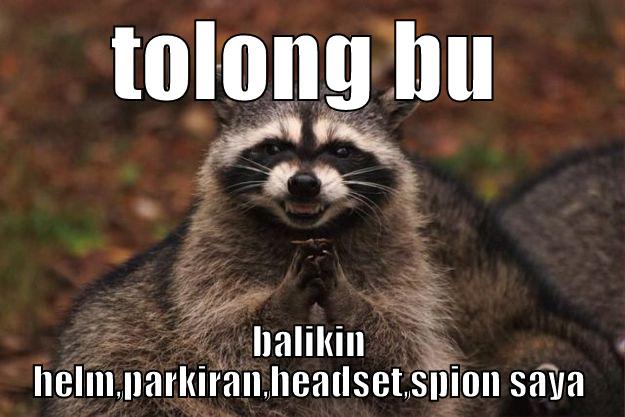 TOLONG BU BALIKIN HELM,PARKIRAN,HEADSET,SPION SAYA Evil Plotting Raccoon