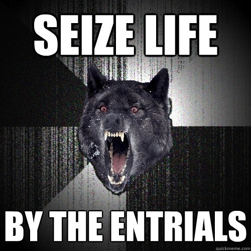 seize life by the entrials  Insanity Wolf