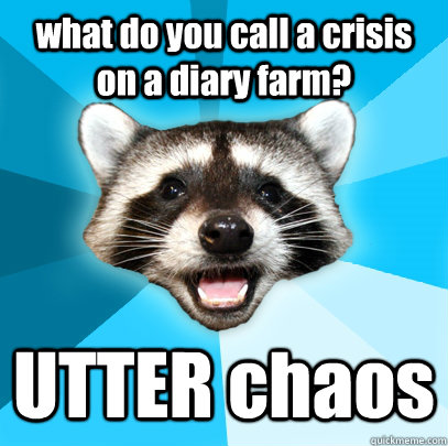 what do you call a crisis on a diary farm? UTTER chaos  - what do you call a crisis on a diary farm? UTTER chaos   Lame Pun Coon