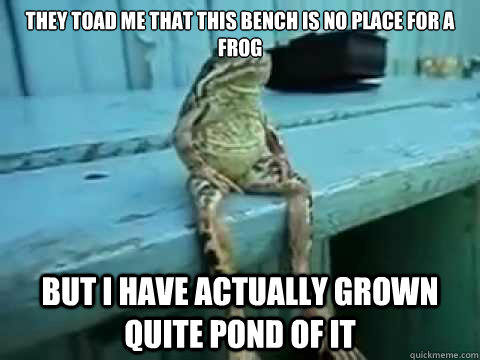 They toad me that this bench is no place for a frog But I have actually grown quite pond of it  SITTING FROG