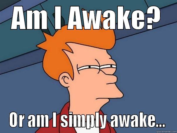 AM I AWAKE? OR AM I SIMPLY AWAKE... Futurama Fry