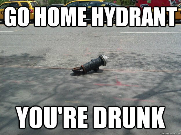 Go Home hydrant You're drunk - Go Home hydrant You're drunk  go home hydrant